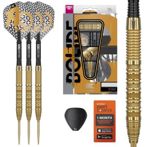 Bolide Envy 01 90% Tungsten Steel Tip Darts